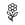 Tatuajes Florales Tatuajes